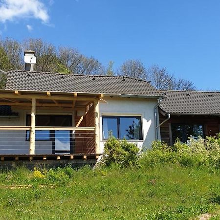 Apartman Nezichov Toužim Buitenkant foto
